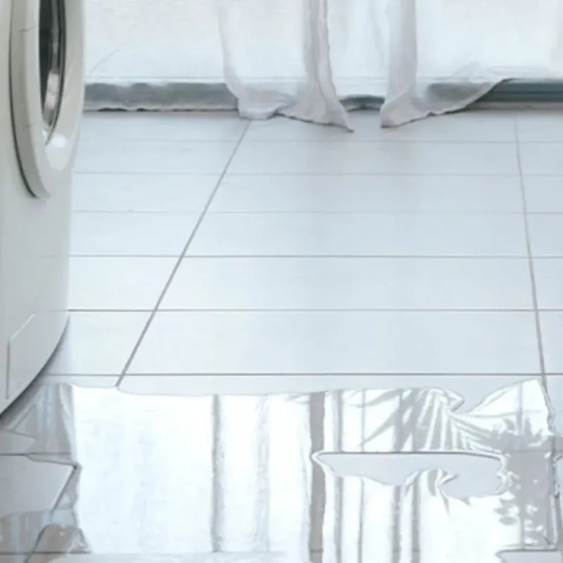 Appliance Leak Cleanup in Deltona, FL