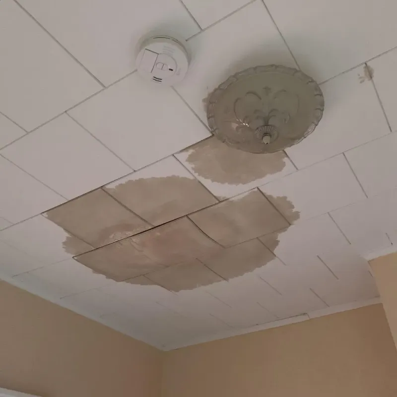 Ceiling Water Damage Repair in Deltona, FL